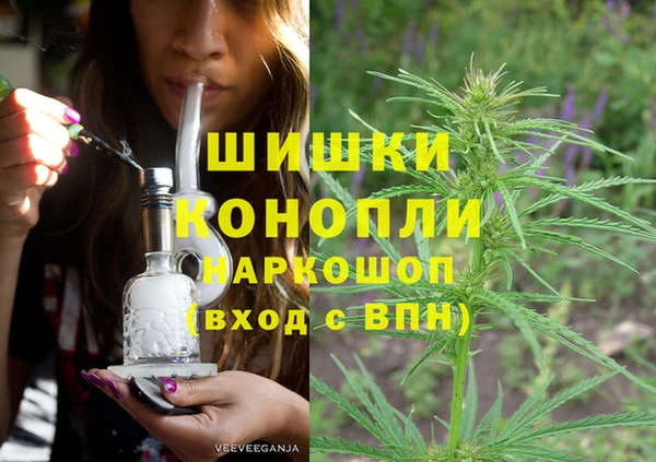 PSILOCYBIN Алзамай