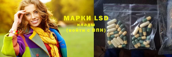 PSILOCYBIN Алзамай