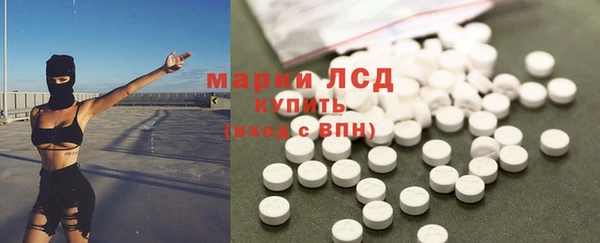 PSILOCYBIN Алзамай