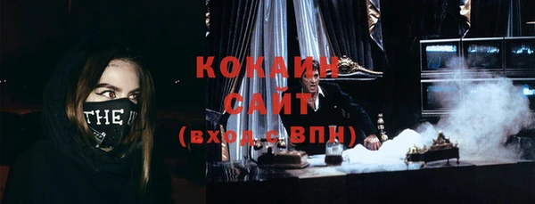 ешки Алексин