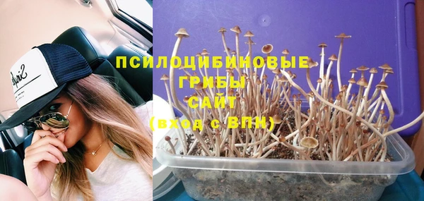PSILOCYBIN Алзамай