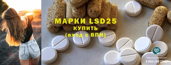 PSILOCYBIN Алзамай