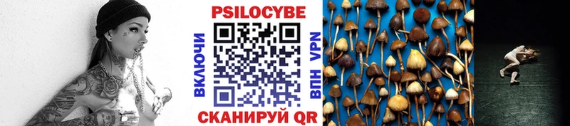 Купить закладки  Владимир  Галлюциногенные грибы Magic Shrooms 